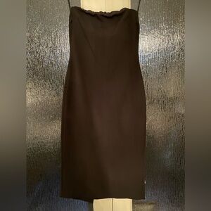 Aritzia Babaton Bodycon Strapless dress